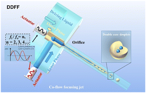 Graphical abstract: Advancing scalable and controllable multi-core droplet generation with double disturbance flow focusing