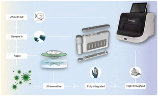 Graphical abstract: A fully integrated microfluidic cartridge for rapid and ultrasensitive nucleic acid detection from oropharyngeal swabs