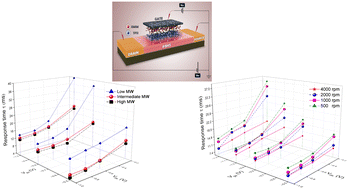 Graphical abstract: Exploring response time and synaptic plasticity in P3HT ion-gated transistors for neuromorphic computing: impact of P3HT molecular weight and film thickness