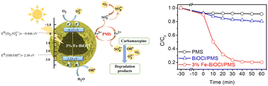 Graphical abstract: Efficient peroxymonosulfate activation by Fe–BiOCl hollow microspheres for carbamazepine removal