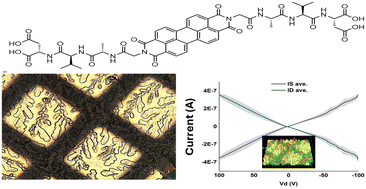 Graphical abstract: Utilizing pi-peptide supramolecular polymers to template growth of hybrid organic–inorganic electronic materials