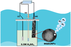 Graphical abstract: MoS2 quantum dot-modified MXene nanoflowers for efficient electrocatalytic hydrogen evolution reaction