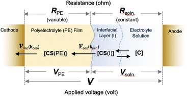 Graphical abstract: Interfacial analysis of the ion-transport process controlling the steady-state current in a two-phase electrodeposition system using polyelectrolyte membranes