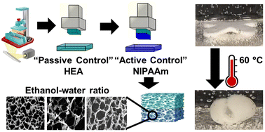 Graphical abstract: Tuning the thermal response of 3D-printed bilayer hydrogels via architectural control using binary ethanol–water solvent systems