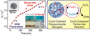 Graphical abstract: Chitosan-based glycated polyampholyte nanogels for copper-catalysed Fenton-like reaction