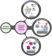 Graphical abstract: ‘Clickable’ polymeric coatings: from antibacterial surfaces to interfaces with cellular and biomolecular affinity