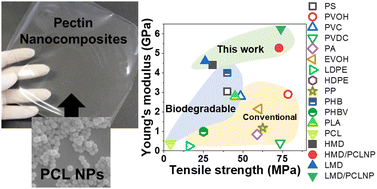 Graphical abstract: Strengthening eco-friendly packaging from pectin by filling with poly(ε-caprolactone) nanoparticles and tailoring the degree of methyl-esterification