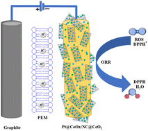 Graphical abstract: Investigating the effect of CeO2 on the radical scavenging activity of Pt@CoOx/NC@CeO2 during the electrocatalytic oxygen reduction reaction in acidic and alkaline environments