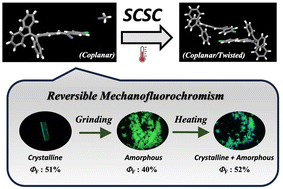 Graphical abstract: Halogen substituted tetraphenylethylene AIEgens: facile single-crystal-to-single-crystal transformation, polymorphism and mechanofluorochromism