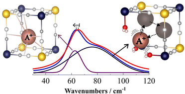 Graphical abstract: Interactions between alkali cations and cyanide-bridged network in A2Co4[Fe(CN)6]3.3 Prussian blue analogues revealed by far-infrared spectroscopy