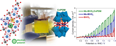 Graphical abstract: High-performance BiVO4 photoanodes: elucidating the combined effects of Mo-doping and modification with cobalt polyoxometalate