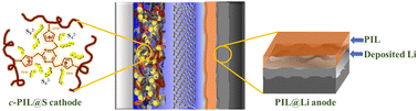 Graphical abstract: One action, two benefits: improving the performance of lithium–sulfur batteries with a poly(ionic liquid)