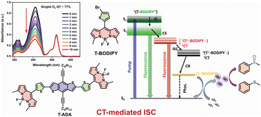 Graphical abstract: BODIPY-based regioisomers and a donor–acceptor rotor as organic photosensitizers for maximizing singlet oxygen quantum yields and for the photooxidation of thioanisole