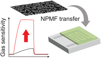 Graphical abstract: Ultrathin nanoporous metallic films and their integration in sensors