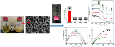 Graphical abstract: Effects of N2 plasma modification on the surface properties and electrochemical performance of Ni foam electrodes for double-chamber microbial fuel cells