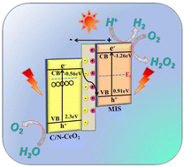 Graphical abstract: MgIn2S4-decorated MOF-derived C/N–CeO2 nanorod heterojunctions as efficient photocatalysts towards H2O2 production reactions and H2 evolution reactions