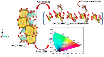 Graphical abstract: A truncated octahedron NaCe(MoO4)2 nanostructure: a potential material for blue emission and acetone sensing