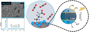 Graphical abstract: Unveiling the influence of alkaline modifiers in CuO synthesis on its photocatalytic activity for CO2 reduction