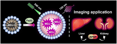 Graphical abstract: A novel NIR fluorescent probe for in situ visualizing Fe(ii) and its application in drug-induced liver/kidney injury