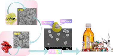 Graphical abstract: Studies of a novel nano sustained-released drug delivery system with a hydroxyapatite core and polysuccinimide coating structure