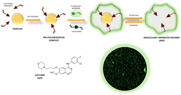 Graphical abstract: Exploring crosslinker effects on fluorescent molecularly imprinted polymers for improved gefitinib delivery in lung cancer theranostics