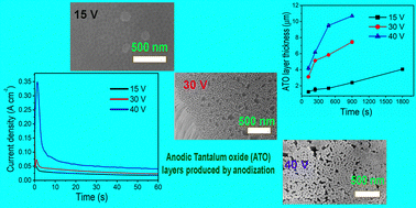 Graphical abstract: Understanding the morphological evolution of anodic tantalum oxide nanostructures in acidic medium