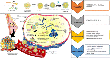 Graphical abstract: Cabazitaxel-loaded redox-responsive nanocarrier based on d-alpha-tocopheryl-chitosan and hyaluronic acid for improved anti-tumor efficacy in DMBA-induced breast cancer model