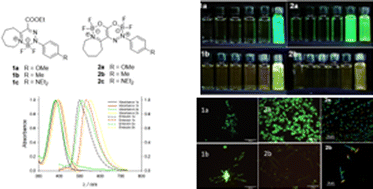 Graphical abstract: Solid-state and aggregation-induced emission of novel bicyclic and tricyclic difluoroboron heterocycles