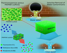 Graphical abstract: Thermoresponsive scaffolds fabricated using covalent organic frameworks for the selective removal of water contaminants