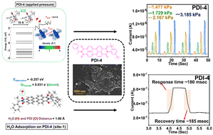 Graphical abstract: Perylene diimide architecture-based electromechanical sensors: a systematic experimental and theoretical framework for the comparative analysis and study of the transduction mechanism