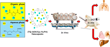 Graphical abstract: Synthesis and preclinical evaluation of novel l-cystine-based polyamide nanocapsules loaded with a fixed-dose combination of thymoquinone and doxorubicin for targeted pulmonary anticancer drug delivery