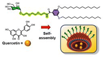 Graphical abstract: Self-assembling PEGylated mannolipids for liposomal drug encapsulation of natural products