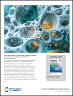 Graphical abstract: Back cover