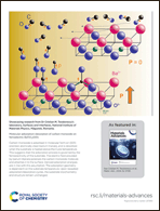 Graphical abstract: Back cover