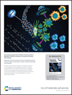 Graphical abstract: Back cover