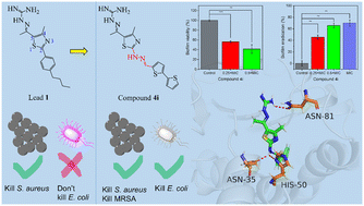 Graphical abstract: Synthesis and structure–activity relationship of novel thiazole aminoguanidines against MRSA and Escherichia coli