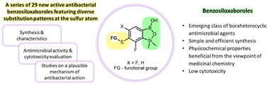 Graphical abstract: Exploiting thiol-functionalized benzosiloxaboroles for achieving diverse substitution patterns – synthesis, characterization and biological evaluation of promising antibacterial agents