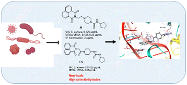 Graphical abstract: Synthesis and biological evaluation of new naphthalimide–thiourea derivatives as potent antimicrobial agents active against multidrug-resistant Staphylococcus aureus and Mycobacterium tuberculosis