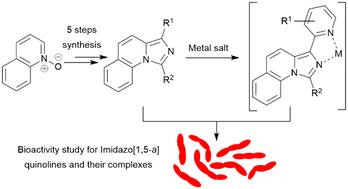 Graphical abstract: Design, synthesis and antimycobacterial activity of imidazo[1,5-a]quinolines and their zinc-complexes