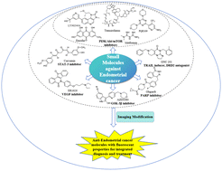 Graphical abstract: Small molecule targeted therapies for endometrial cancer: progress, challenges, and opportunities