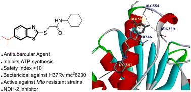 Graphical abstract: Antitubercular activity of 2-mercaptobenzothiazole derivatives targeting Mycobacterium tuberculosis type II NADH dehydrogenase