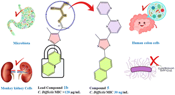 Graphical abstract: Phenylthiazoles with potent & optimum selectivity toward Clostridium difficile