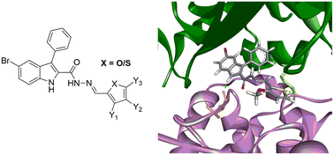 Graphical abstract: Synthesis, in silico, in vitro evaluation of furanyl- and thiophenyl-3-phenyl-1H-indole-2-carbohydrazide derivatives as tubulin inhibitors and anticancer agents