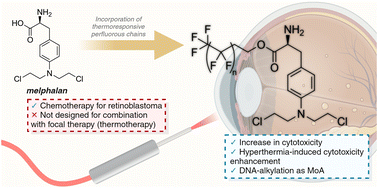 Graphical abstract: New melphalan derivatives for the treatment of retinoblastoma in combination with thermotherapy