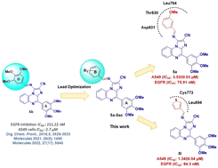 Graphical abstract: Design, synthesis, and anticancer assessment of structural analogues of (E)-1-((3,4,5-trimethoxybenzylidene)amino)-4-(3,4,5-trimethoxyphenyl)imidazo[1,2-a]quinoxaline-2-carbonitrile (6b), an imidazo[1,2-a]quinoxaline-based non-covalent EGFR inhibitor