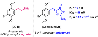 Graphical abstract: Synthesis and in vitro evaluation of novel amino-phenylmethylene-imidazolone 5-HT2A receptor antagonists