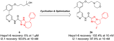 Graphical abstract: Design, synthesis, and structure–activity relationship studies of 6,7-dihydro-5H-pyrrolo[1,2-b][1,2,4]triazole derivatives as necroptosis inhibitors