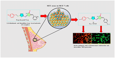 Graphical abstract: Synthesis and antiproliferative potency of 1,3,4-thiadiazole and 1,3-thiazolidine-4-one based new binary heterocyclic molecules: in vitro cell-based anticancer studies