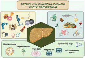 Graphical abstract: A comprehensive framework for managing metabolic dysfunction-associated steatotic liver disease: analyzing novel risk factors and advances in nanotechnology-based treatments and diagnosis