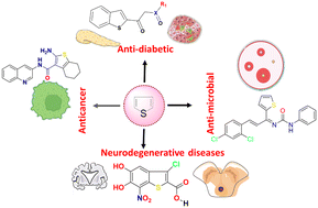 Graphical abstract: Medicinal chemistry-based perspectives on thiophene and its derivatives: exploring structural insights to discover plausible druggable leads
